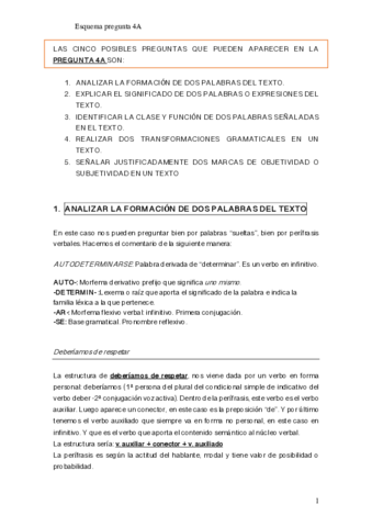 Esquema-pregunta-4A.pdf