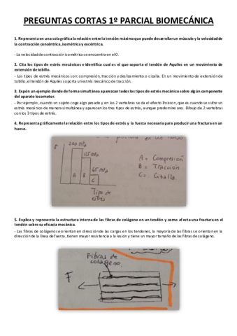 PREGUNTAS-CORTAS-BIOMECANICA.pdf