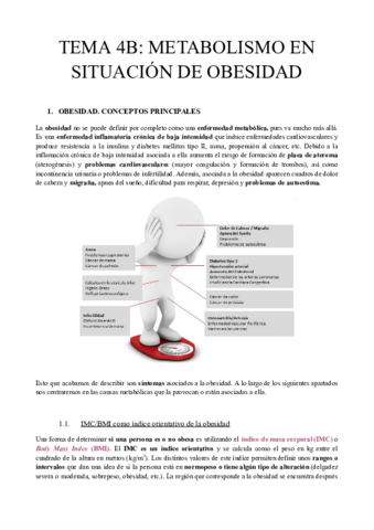 TEMA-4B-METABOLISMO-EN-SITUACION-DE-OBESIDAD.pdf