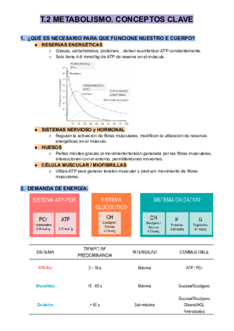 T.2 METABOLISMO
