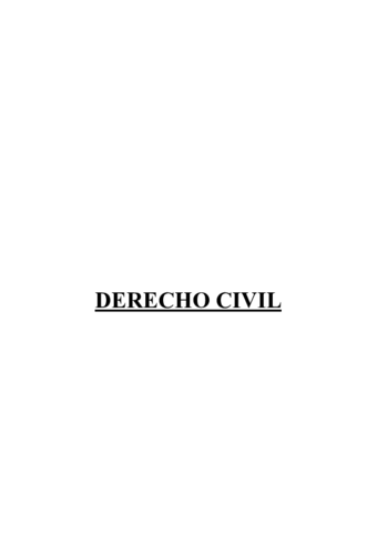 civil-temas-1-5.pdf