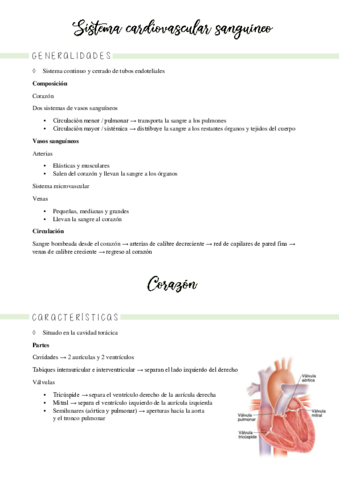 27-29-sistema-circulatorio.pdf