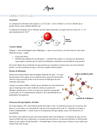 1-agua-e-interacciones-moleculares.pdf