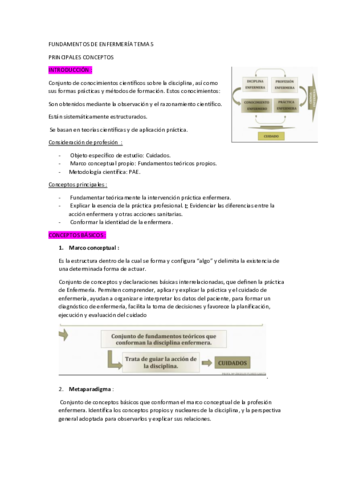 T5-FUNDAMENTOS-.pdf