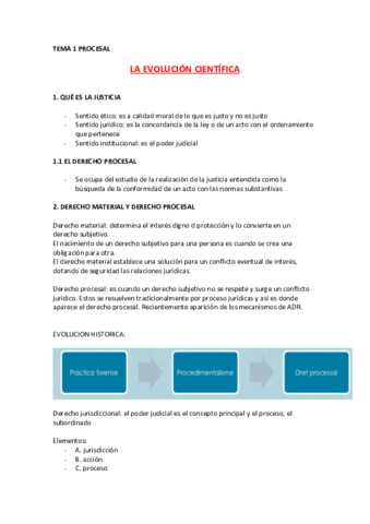 PROCESAL-APUNTES-ENTERO-1-18-.pdf