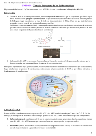 Apuntes-BIOLOGIA-MOLECULAR-completos.pdf