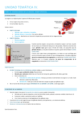 UNIDAD-TEMATICA-IV.pdf