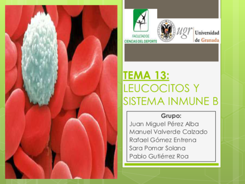 TEMA-13-Fisiologia-PP.pdf