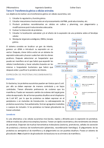Tema-4-IG.pdf