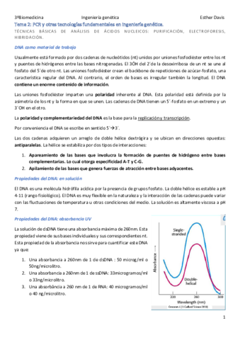 Tema-2-IG.pdf