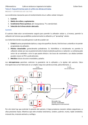 Tema-2.pdf