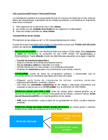 Celula-eucariotica-y-procariotica-con-organelos.pdf