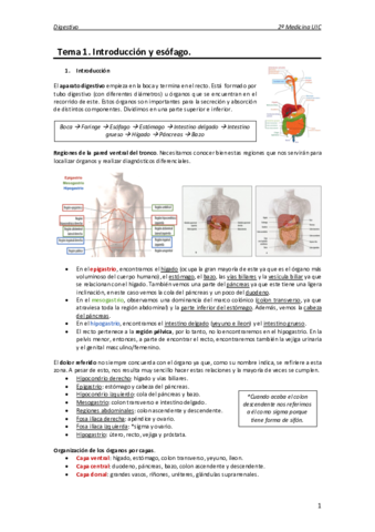 Anatomia-digestivo.pdf
