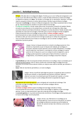 DigestivofuncionMCs.pdf