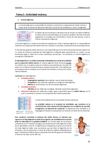 Fisiologia-digestivo.pdf
