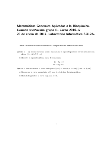 Examen Grupo B Máxima 2017.pdf