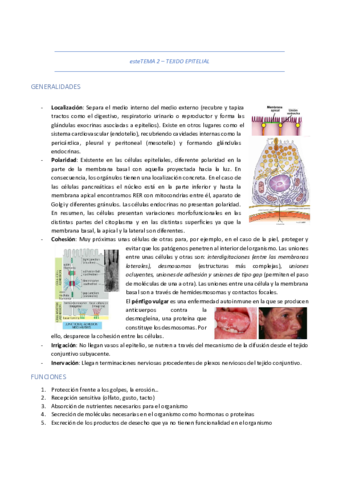 2-TEJIDO-EPITELIAL.pdf