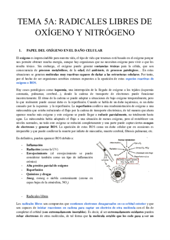 TEMA-5A-RADICALES-LIBRES-DE-OXIGENO-Y-NITROGENO.pdf