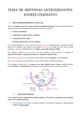 TEMA-5B-DEFENSAS-ANTIOXIDANTES.pdf