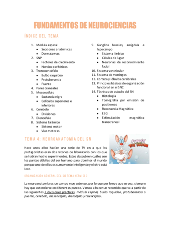 NEUROCIENCIAST4Neuroanatomia-del-SN.pdf