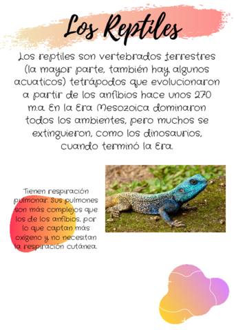 Agregar-un-titulo.pdf