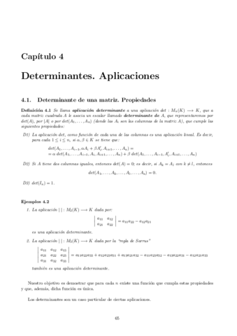 ALGEBRA LINEAL - 2014-15 - CAP-04 - Determinantes. Aplicaciones.pdf