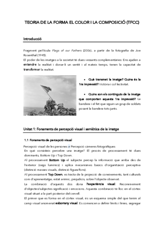 APUNTS-TFCC.pdf