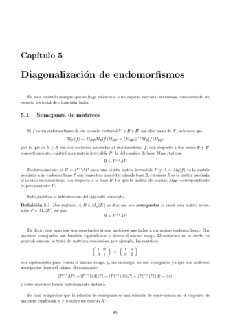 ALGEBRA LINEAL - 2014-15 - CAP-05 - Dianogalizacion.pdf