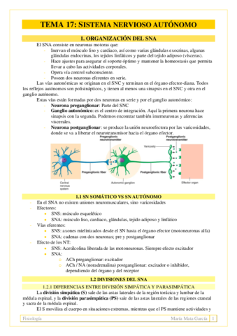 TEMA 17. Sistema nervioso autónomo