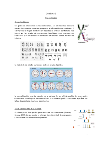 Genetica-3.pdf