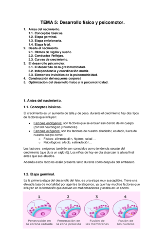 TEMA-5.pdf