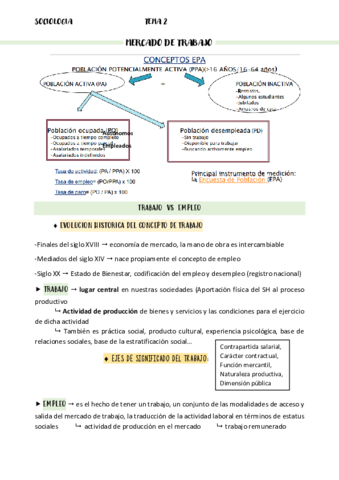 SE-2-MercadoTrabajo.pdf