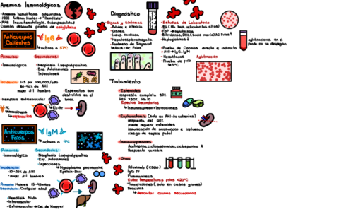 Anemias-Inmunologicas-.pdf