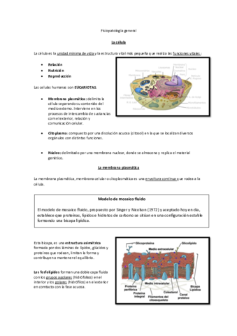 tema-1.pdf