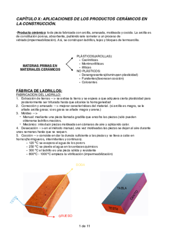 CAPITULO X.pdf