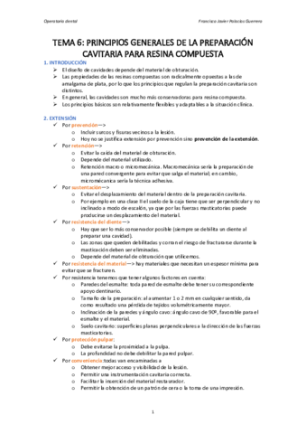tema-6-principios-generales.pdf