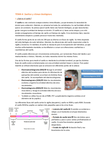 TEMA-4. Sueño y ritmos biólogos.pdf