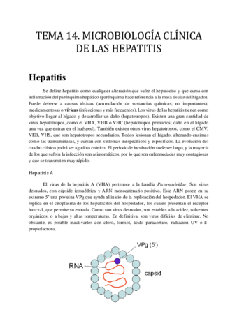 TEMA-14.pdf