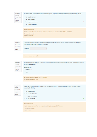 Cuestionario-1-Termica.pdf