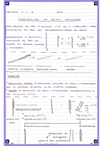 ExamenBMC.pdf