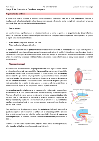 Anatomia-T5.pdf
