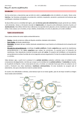 Anatomia-T6.pdf