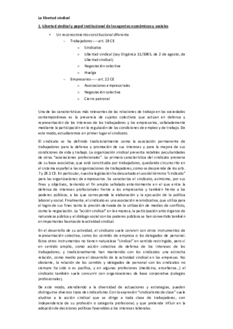 Tema-1-Laboral-II.pdf