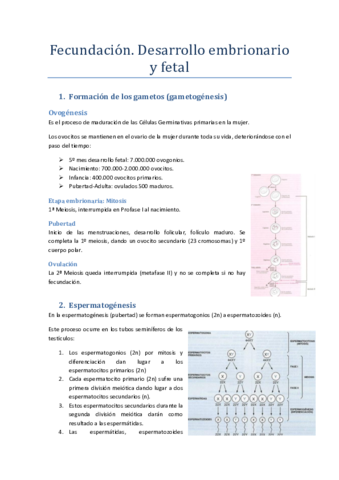 Fecundacion-desarrollo-embrionario-y-fetal.pdf