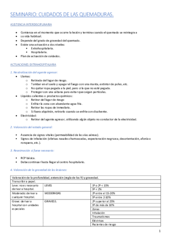 SEMINARIO.pdf