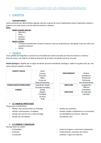 SEMINARIO-2-ADE-DERMA.pdf