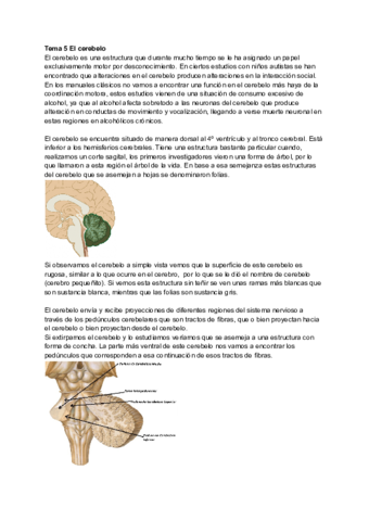 Tema-5-El-cerebelo-1.pdf