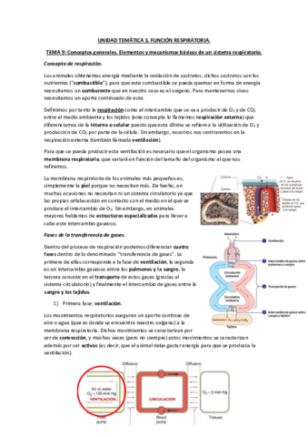 Miniatura del documento Tema-9-apuntes-completos.pdf