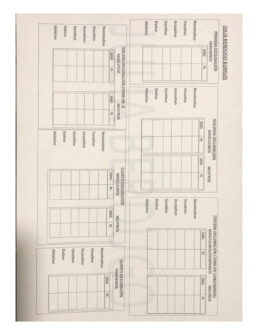 DECLINACIONES-Y-TIEMPOS-VERBALES.pdf