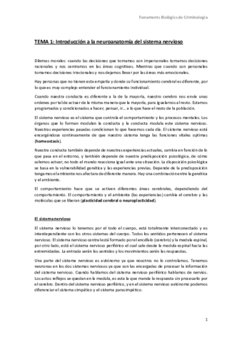 TEORÍA.pdf